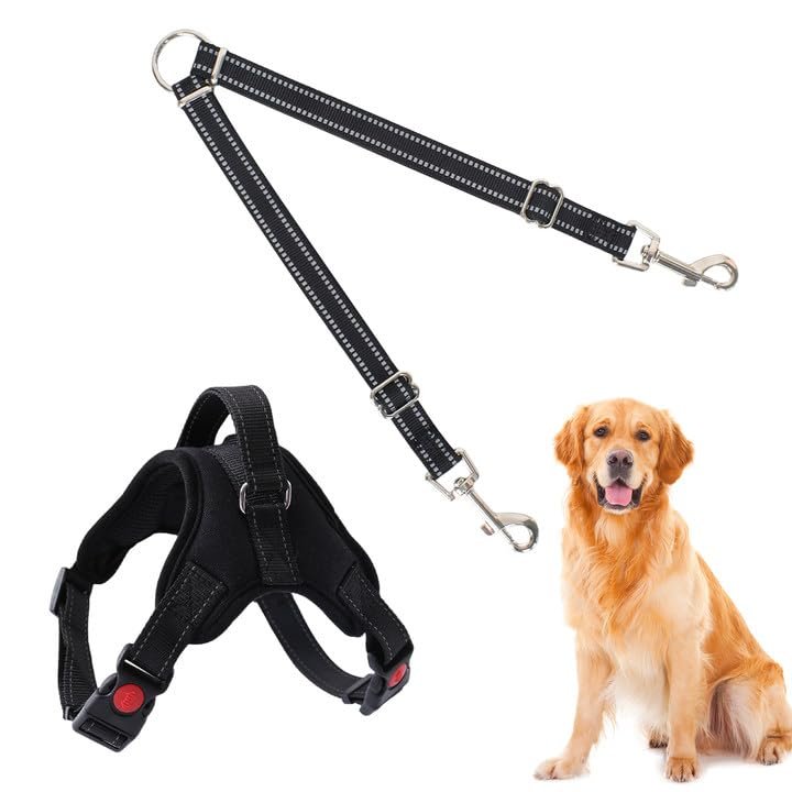Luxvara Double Dog Leash