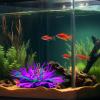 Qkbuza Coral Aquarium Decoration view 2