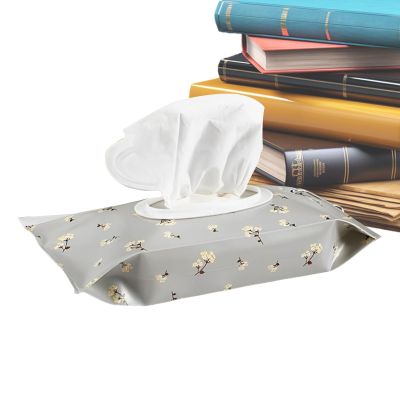 Reusable Wipes Case and Dispenser