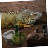 JOINPAYA Reptile Water and Food Bowl for Turtles, Lizards, Snakes, and Other Reptiles view 3