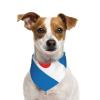 Dog Bandana with Frisian Flag Design, Washable, for Small to Large Pets view 2