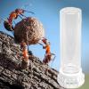 Dtaigou Ant Drinking Bottle view 3
