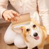 Dog Detangling Brush with Wooden Handle view 2