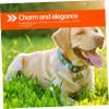 TOYANDONA Stainless Steel Dog ID Tags with Engraved Name and Paw Design - Set of 3 view 3
