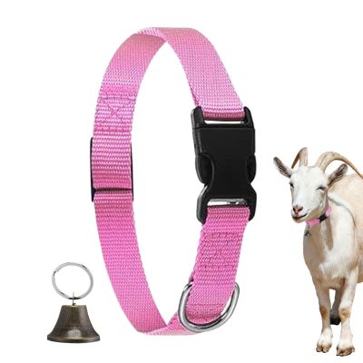 Collar for Show Goats with Bell and Quick Release