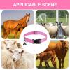 Collar for Show Goats with Bell and Quick Release view 4