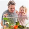 TOYANDONA 6-Piece Acrylic Fish Feeding Bowls with Suction Cups view 2