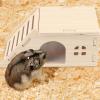 Senermter Hamster House view 3