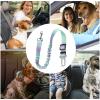 Huxibai Dog Safety Belt view 4