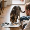 Dog Bowl with Mat, 2-Bowl Feeding Set for Cats view 2