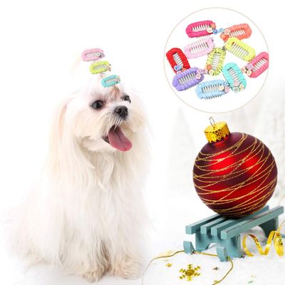 Itonash 10-Pack Cute Flower Hair Clips for Cats and Small Dogs