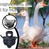 Chicken Saddle - Reusable Poultry Protector view 3