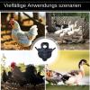 Chicken Saddle - Reusable Poultry Protector view 4
