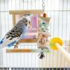 Cuttlebone for Birds - Natural Chew Toy view 3