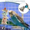 Cuttlebone for Birds - Natural Chew Toy view 4