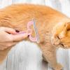 Reusable Handheld Pet Hair Remover Brush, 15 x 12 x 2 cm view 3