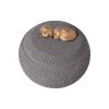 Pet Cremation Box - Dog Ashes Urn view 1