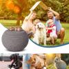 Pet Cremation Box - Dog Ashes Urn view 3