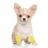CAPASTEC Pack of 4 Dog Leg Warmers - Winter Soft Warm Knitted Socks view 4