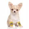 CAPASTEC Pack of 4 Dog Leg Warmers view 4