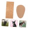 GANAZONO Dog Ear Supports, 1 Pair, Adhesive-Free, Lightweight view 4