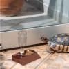 Bsbkoj Reptile Water Container and Automatic Dispenser view 2