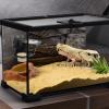 Reptile Water Bowl with Suction Mount view 2