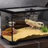 Gecko Feeding Station view 3