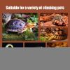 Turtle Water Basin & Automatic Reptile Water Dispenser | 2-in-1 Feeding Accessory view 4
