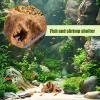 Small Multifunctional Resin Reptile Hide view 3