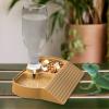 Water Bowl for Bearded Dragon | Automatic Water Dispenser for Reptiles view 3