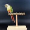 Natural Wood Parrot Tabletop Perch Stand with Nail-Grinding Perch view 3