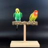 Natural Wood Parrot Tabletop Perch Stand with Nail-Grinding Perch view 4