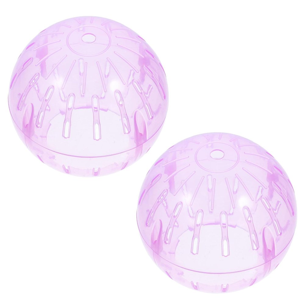 Hamster Exercise Ball