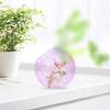 Hamster Exercise Ball view 2
