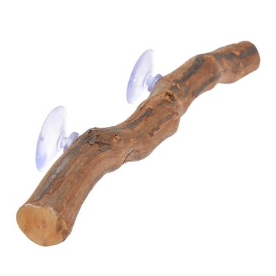 Reptile Stand for Bearded Dragons, Decorative Climbing Branch