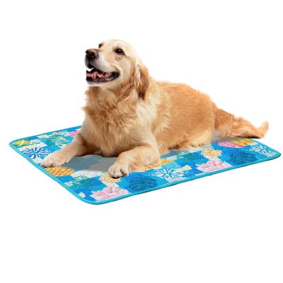 Cooling Mat for Dogs