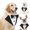 Drool Bib for Cats and Dogs, Wedding and Party Collar with Western Suit for Puppies view 2