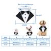 Drool Bib for Cats and Dogs, Wedding and Party Collar with Western Suit for Puppies view 3