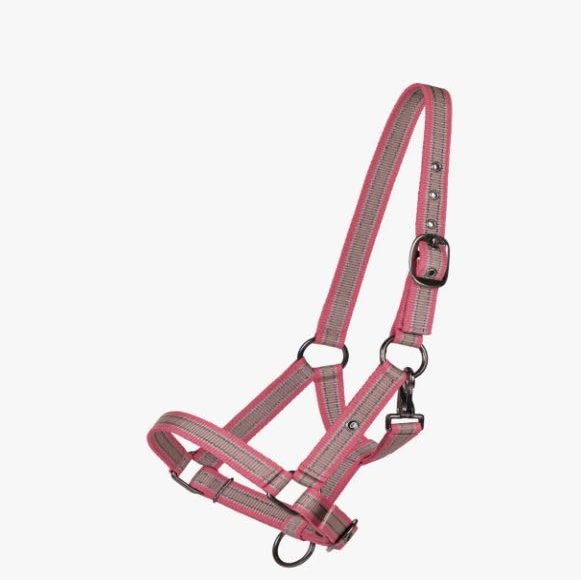 QHP Flamingo Foal Halter Collection FS/25, Full Foal