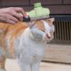Self-Cleaning Cat Brush and Flea Comb view 3
