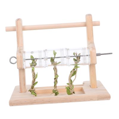 Abaodam Solid Wood Parrot Playground, Chew Toy and Perch Stand for Cockatiels and Other Birds