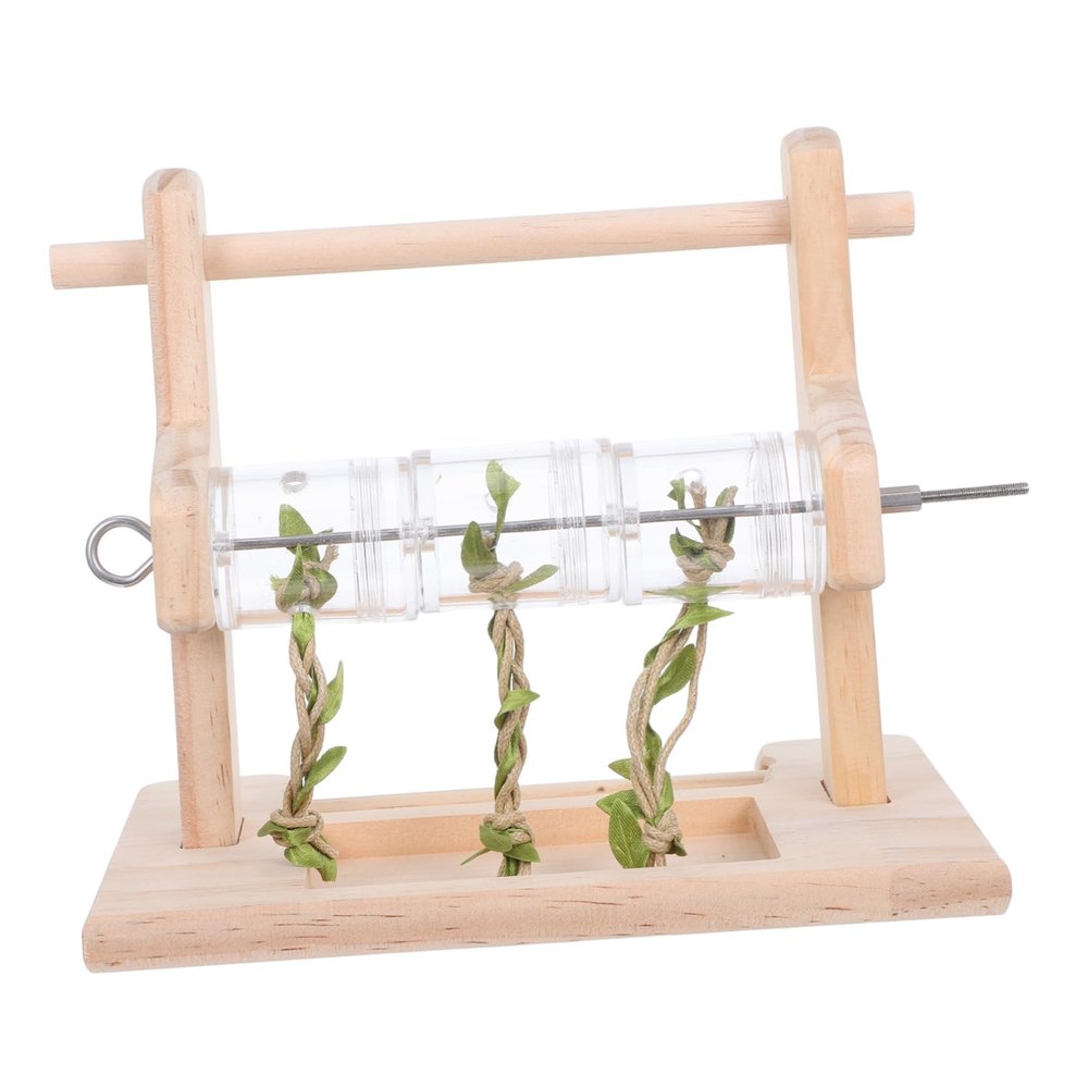 Abaodam Solid Wood Parrot Playground, Chew Toy and Perch Stand for Cockatiels and Other Birds