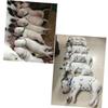 Self-Adhesive Puppy Identification Collars, 15 Pieces, Size S view 2