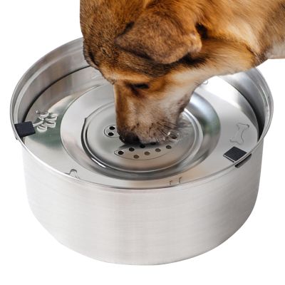 Floating Stainless Steel Dog Bowl, 3 L