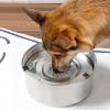 Floating Stainless Steel Dog Bowl, 3 L view 4