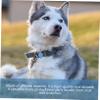 Toddmomy Protective Case for GPS Trackers, Pet Collar Holder view 3