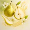 Duchesse - Pitmasten Pear Flavor Concentrate - Vegan - Sasami - 100 ml view 3