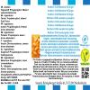 Northern Chill Mandarin & Ginger Flavor Concentrate – Vegan – Sasami – 100 ml view 4