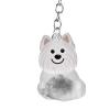 Generic Pet Hair Keychain - Cat Dog Hair Storage Keychain S view 1